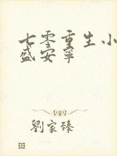 七零重生小辣媳盛安宁