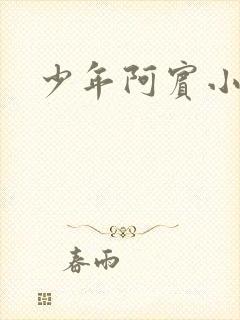 少年阿宾小说