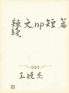 辣文np短篇在线封面