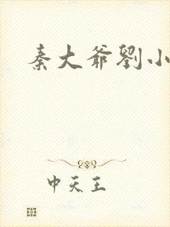 秦大爷刘小静