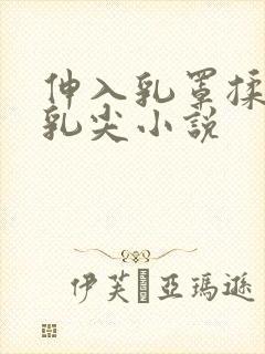 伸入乳罩揉她的乳尖小说封面