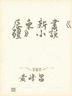 辰东新书《夜无疆》小说