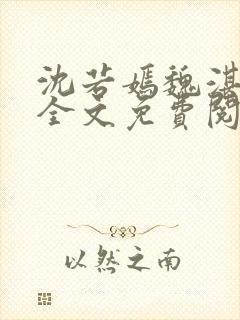 沈若嫣魏湛小说全文免费阅读封面
