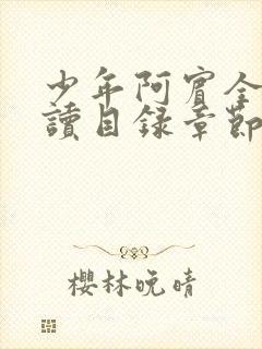 少年阿宾全文阅读目录章节封面