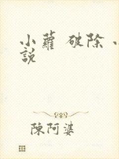小萝 破除 小说封面