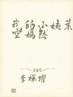 我的小姨叶凡司空嫣然封面