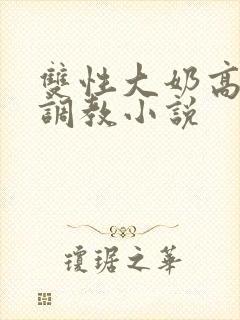 双性大奶高嗨黄调教小说