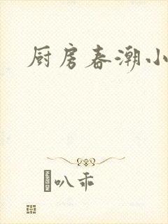 厨房春潮小说