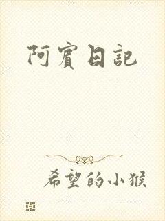 阿宾日记封面
