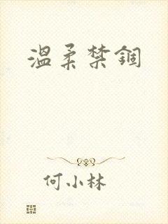 温柔禁锢封面