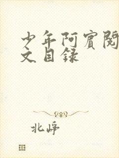 少年阿宾阅读全文目录封面
