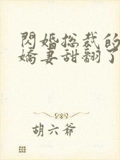闪婚总裁的农村娇妻甜翻了短剧免费观看封面