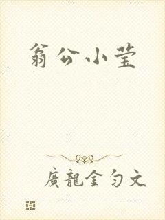 翁公小莹