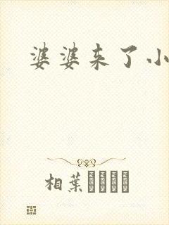 婆婆来了小说封面