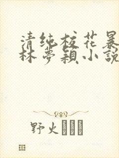 清纯校花暴露记林梦颖小说免费阅读最新章封面