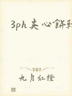 3ph夹心饼干封面