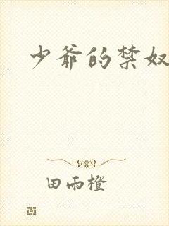少爷的禁奴