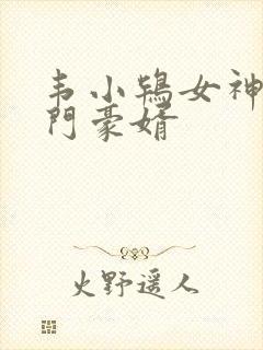 韦小鸨女神的上门豪婿