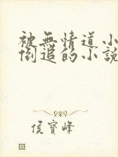被无情道小师弟倒追的小说封面