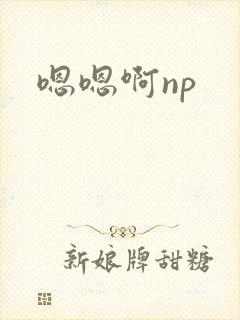 嗯嗯啊np封面