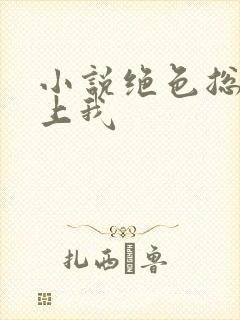 小说绝色总裁爱上我