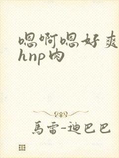 嗯啊嗯好爽啊高hnp肉