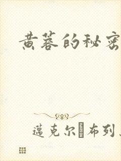 书籍封面