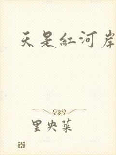 天是红河岸小说封面