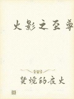 火影之至尊邪帝