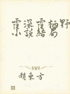霍深霍栖野夏稚小说结局