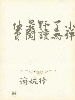 他最野了小说免费阅读无弹窗