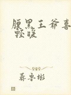 腹黑王爷喜当爹 轻暖封面