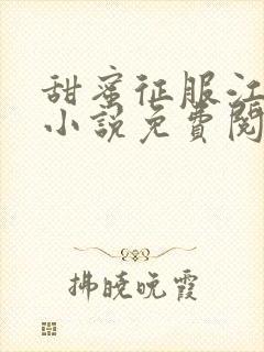 甜蜜征服江医生小说免费阅读最新章