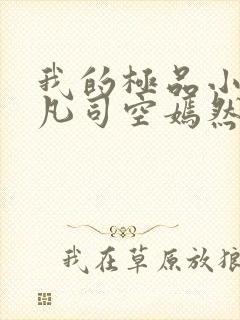 我的极品小姨叶凡司空嫣然