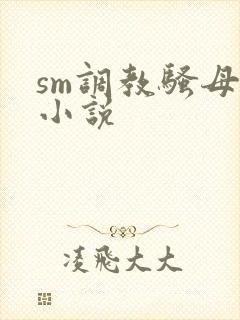 sm调教骚母狗小说