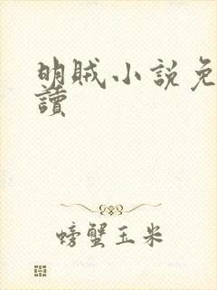 明贼小说免费阅读