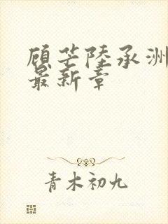 顾芒陆承洲小说最新章