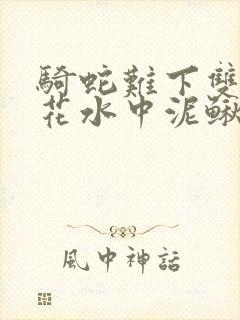 骑蛇难下双金银花水中泥鳅双男主