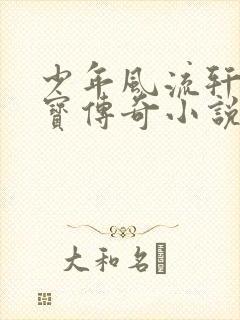 少年风流轩辕大宝传奇小说封面