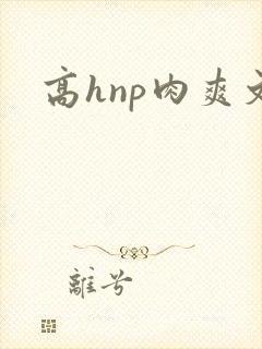高hnp肉爽文