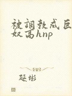 被调教成巨乳奶奴高hnp