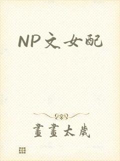 NP文女配