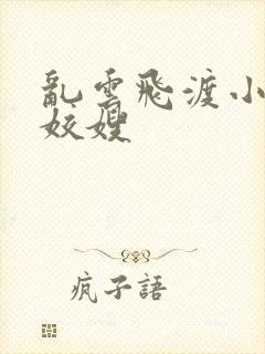乱云飞渡小说之姣嫂