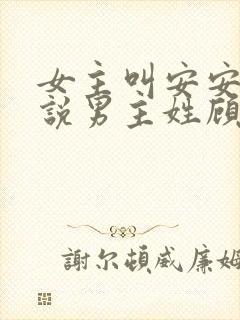 女主叫安安的小说男主姓顾