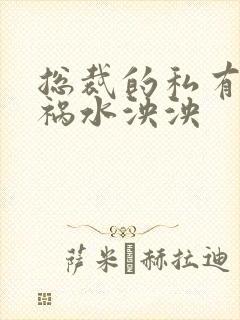 总裁的私有宝贝祸水泱泱