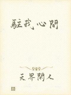 驻我心间封面