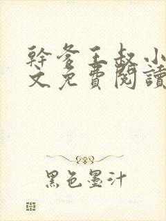 干爹王叔小说全文免费阅读最新章节封面