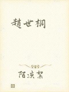 赵世桐封面
