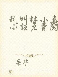 我叫林小喜全文小说免费阅读