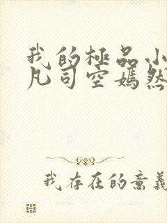 我的极品小姨叶凡司空嫣然